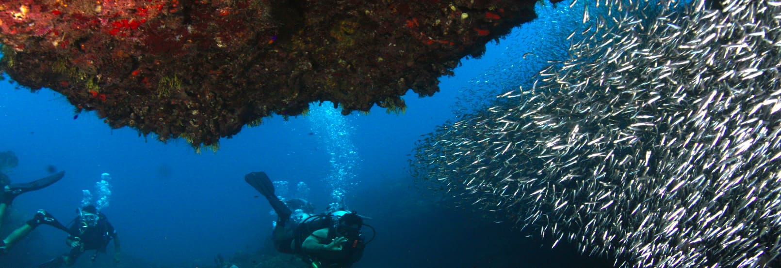 buceo en grand costa maya